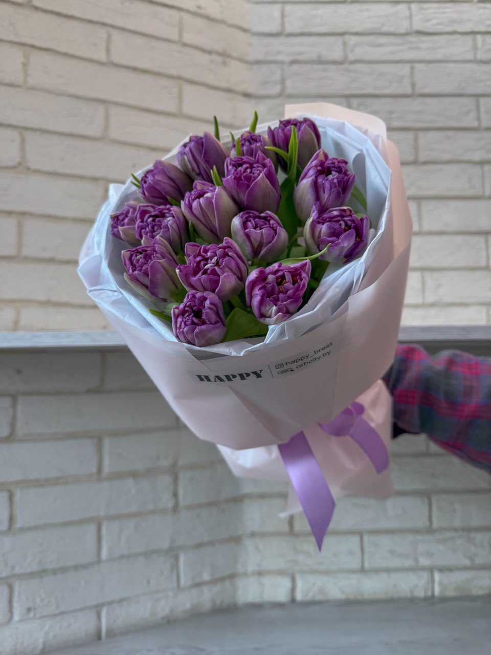 photo 2026 02 12 10 36 29 photo 2026 02 12 10 36 29